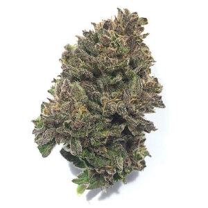 Alaskan Thunder Fuck/Oz
