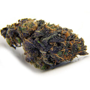 Blackberry Kush