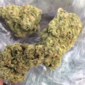 Blue Cheese
